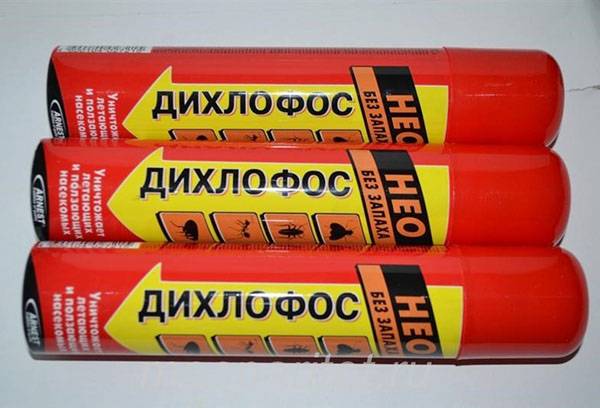 Boîtes de dichlorvos