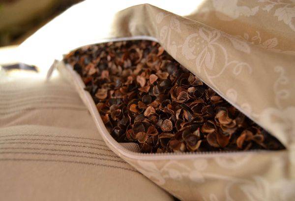 Oreiller De Sarrasin