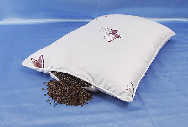 Oreiller De Sarrasin