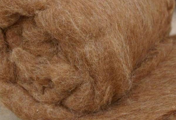 Poil de chameau