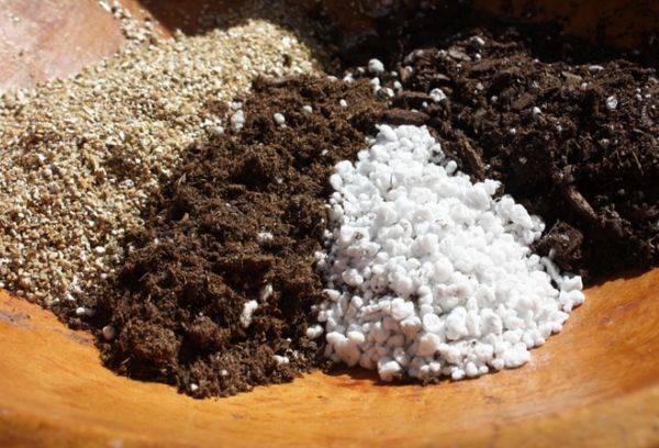 Mélange de minéraux moulus pour plantes