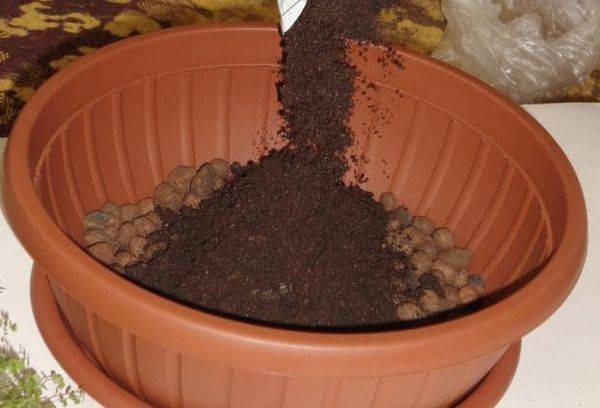 Drainage des plantes