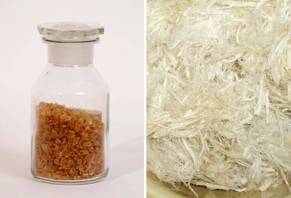 Colle hanche et poisson