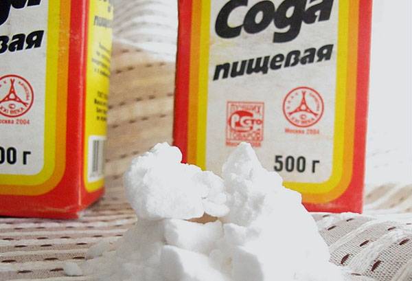 Bicarbonate de soude