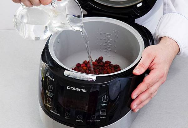 Brewing Rose sauvage dans une cocotte