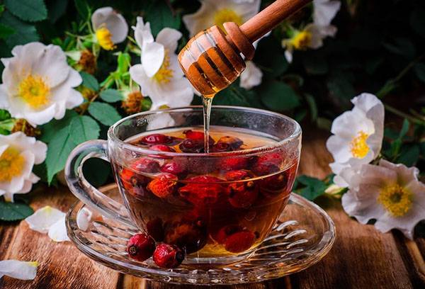 Bouillon d'églantier au miel