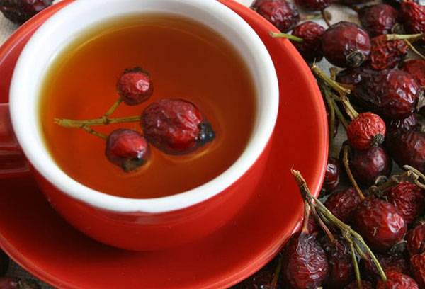 Bouillon d'églantier