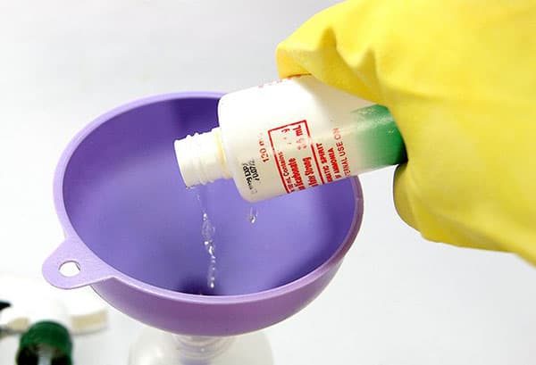 Peroxyde d'hydrogène des moisissures