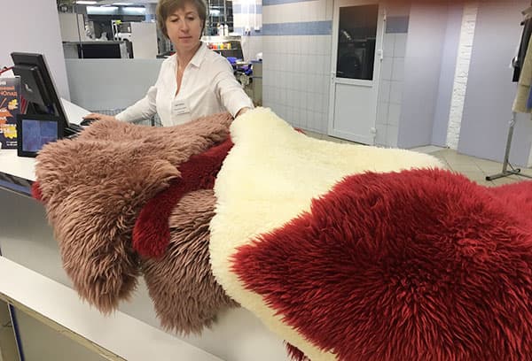 Coloration de la fourrure nettoyée à sec