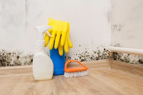 Dissolvant de moisissure