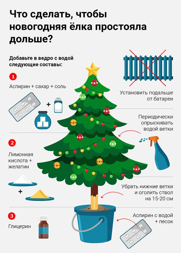 Règles d'entretien des arbres de Noël