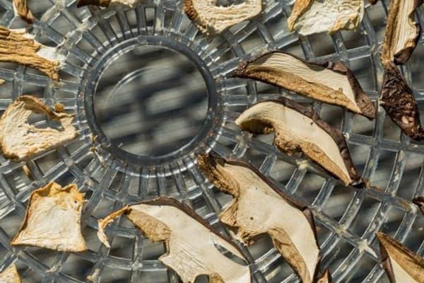Champignons à la sécheuse