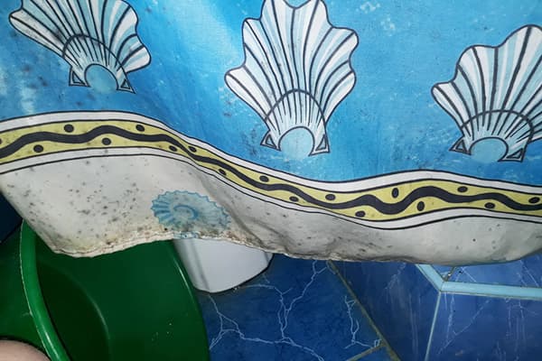 Moule sur le rideau pour la salle de bain