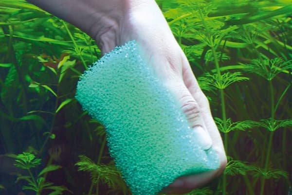 Nettoyer les murs de l'aquarium avec une éponge