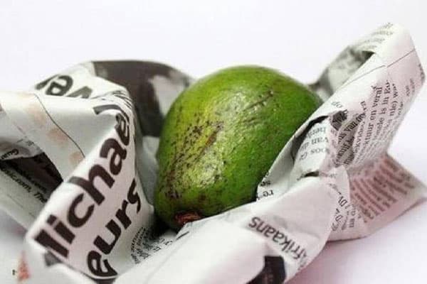 Avocat dans le journal