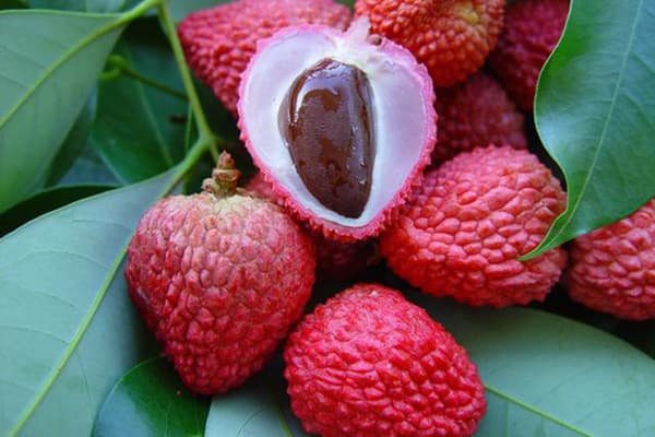 Os de litchi