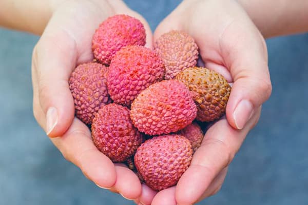 Une poignée de fruits de litchi dans les mains