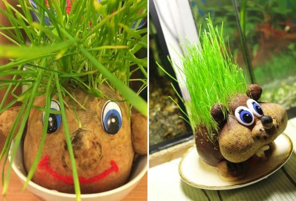 Jouets avec de l'herbe