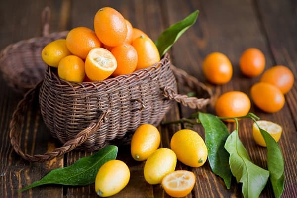 Panier Kumquat