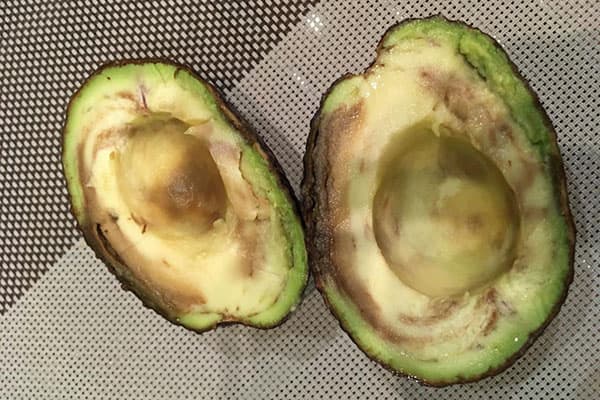 Fruit d'avocat gâté
