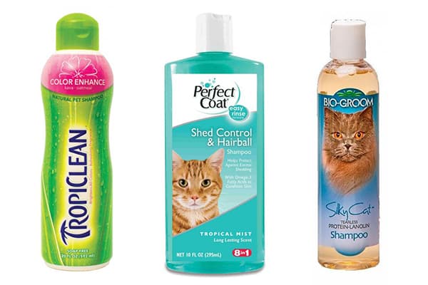 Shampooings pour chats