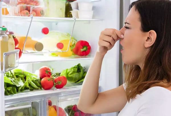 L'odeur dans le réfrigérateur