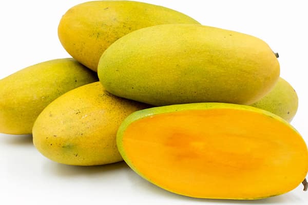 Dashery à la mangue