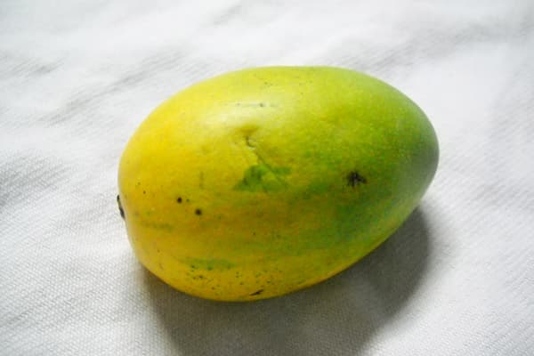 Mangue Chausa