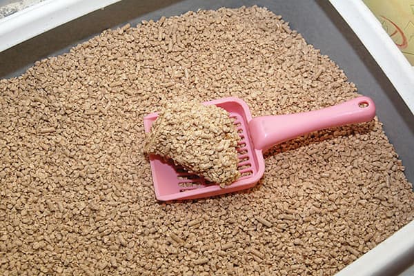 Litière agglomérante