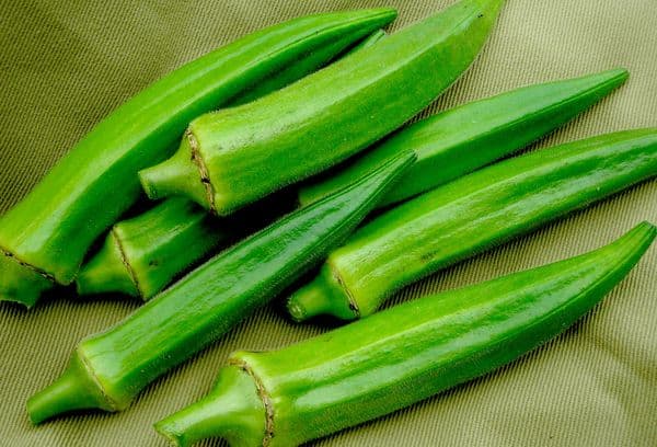 Fruits okra