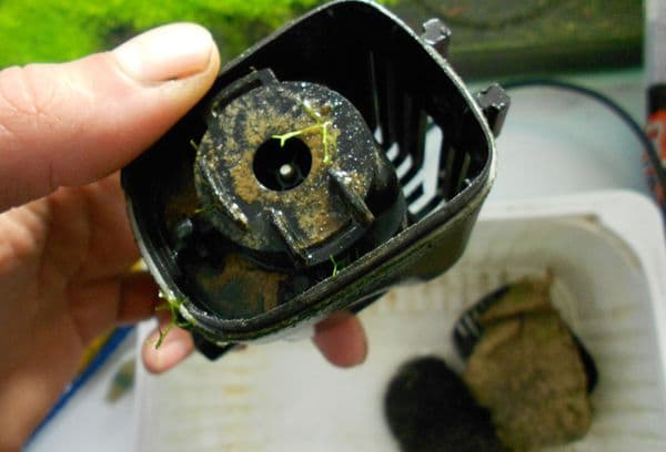 Filtre d'aquarium sale