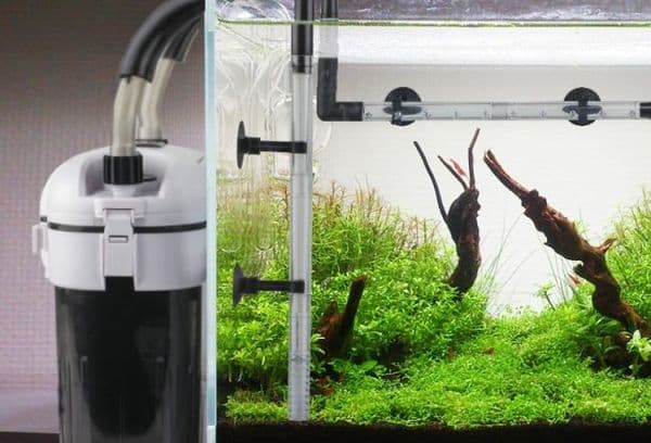 filtre d'aquarium