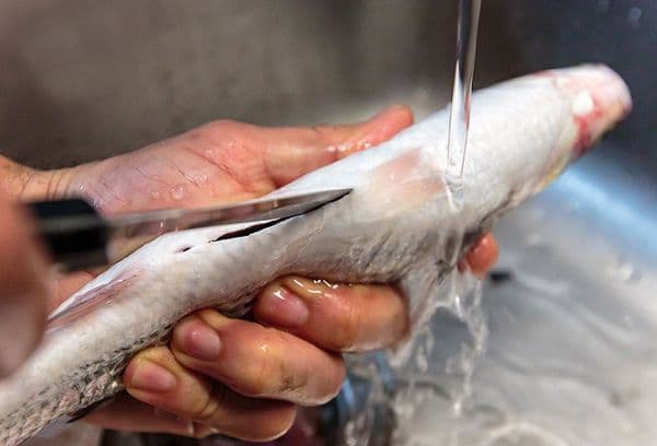 Nettoyage du poisson