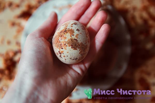 Pelure d'oignon et oeuf de gaze