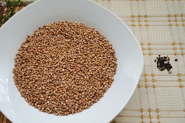 Sarrasin et ordures sélectionnés à partir de celui-ci