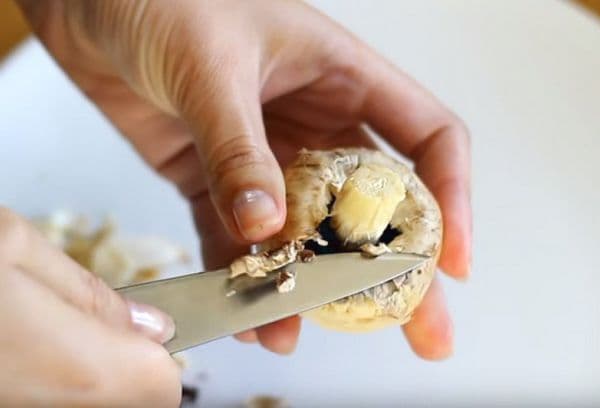 nettoyage des champignons