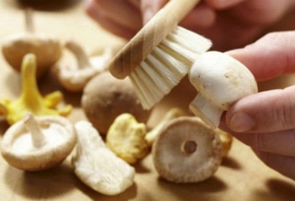 brosser les champignons