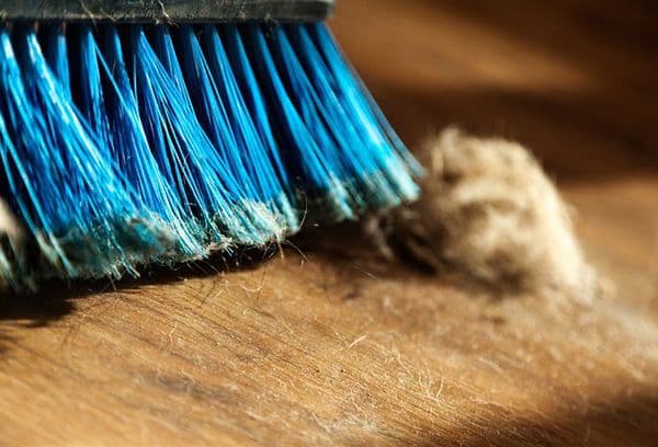 Brosse de nettoyage de maison