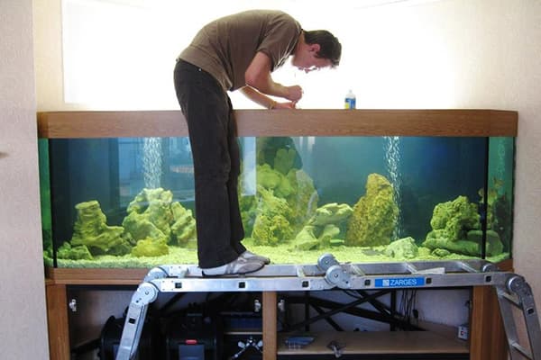 Nettoyage d'aquarium