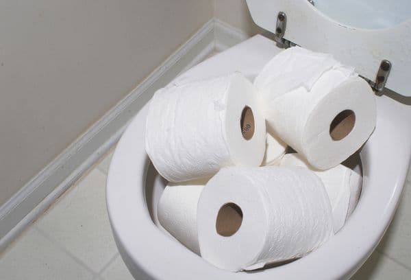 Rouleaux de toilette dans les toilettes