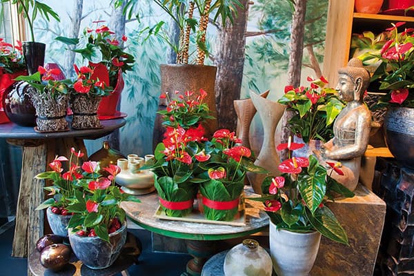 Figurine d'Anthuriums et Bouddha