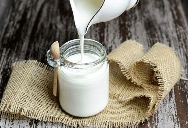 Kéfir fait maison dans un bocal