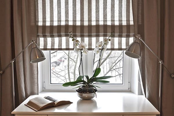 Orchidée en fleurs près de la fenêtre