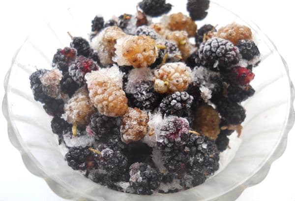 Mûrier congelé