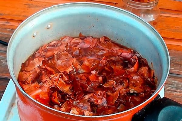 Préparation d'engrais à la gousse d'oignon