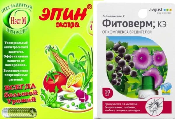 Fitoverm et Epin