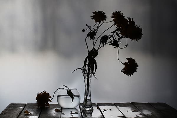 Fleurs fanées dans un vase