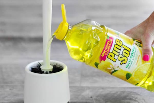 Nettoyage d'une brosse de toilette avec des produits ménagers