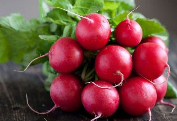 Radis frais