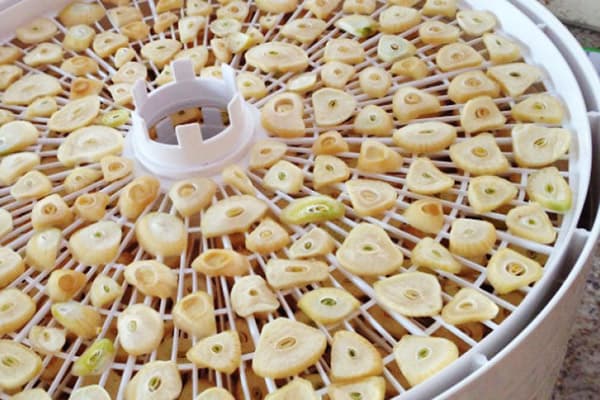 Ail dans un séchoir électrique